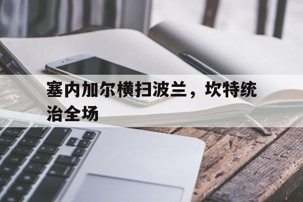 关于塞内加尔横扫波兰，坎特统治全场的信息