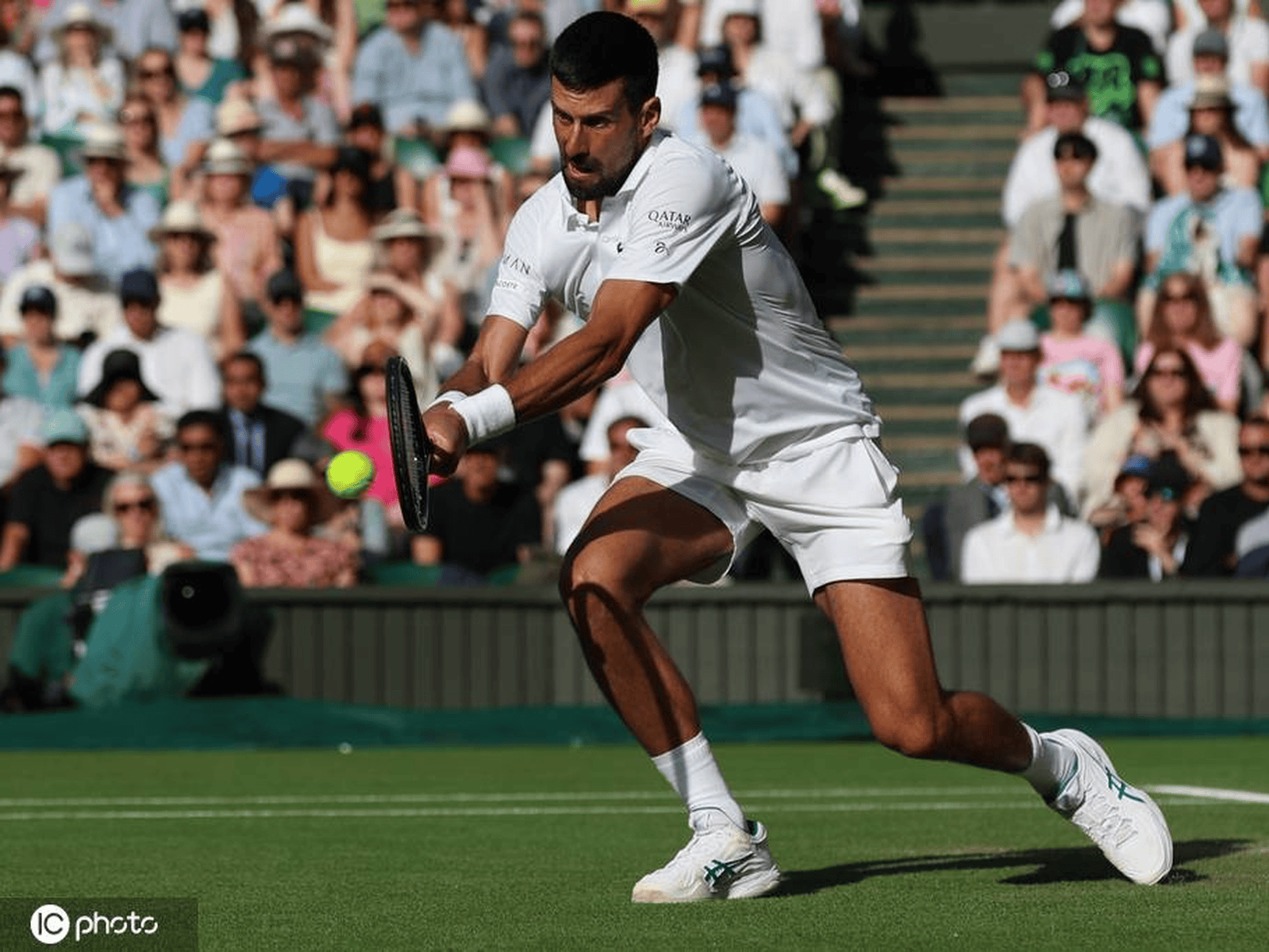 包含西班牙网球队逆转日本网球队，德约科维奇打破历史纪录的词条