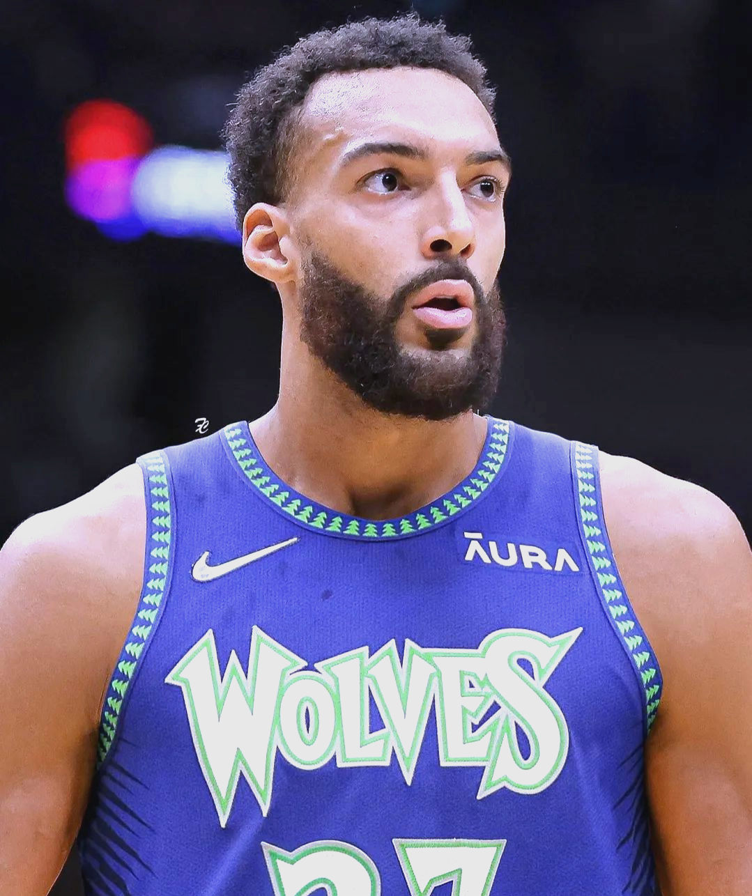 尼日利亚男篮绝杀湖人B队，戈贝尔爆发神勇的简单介绍