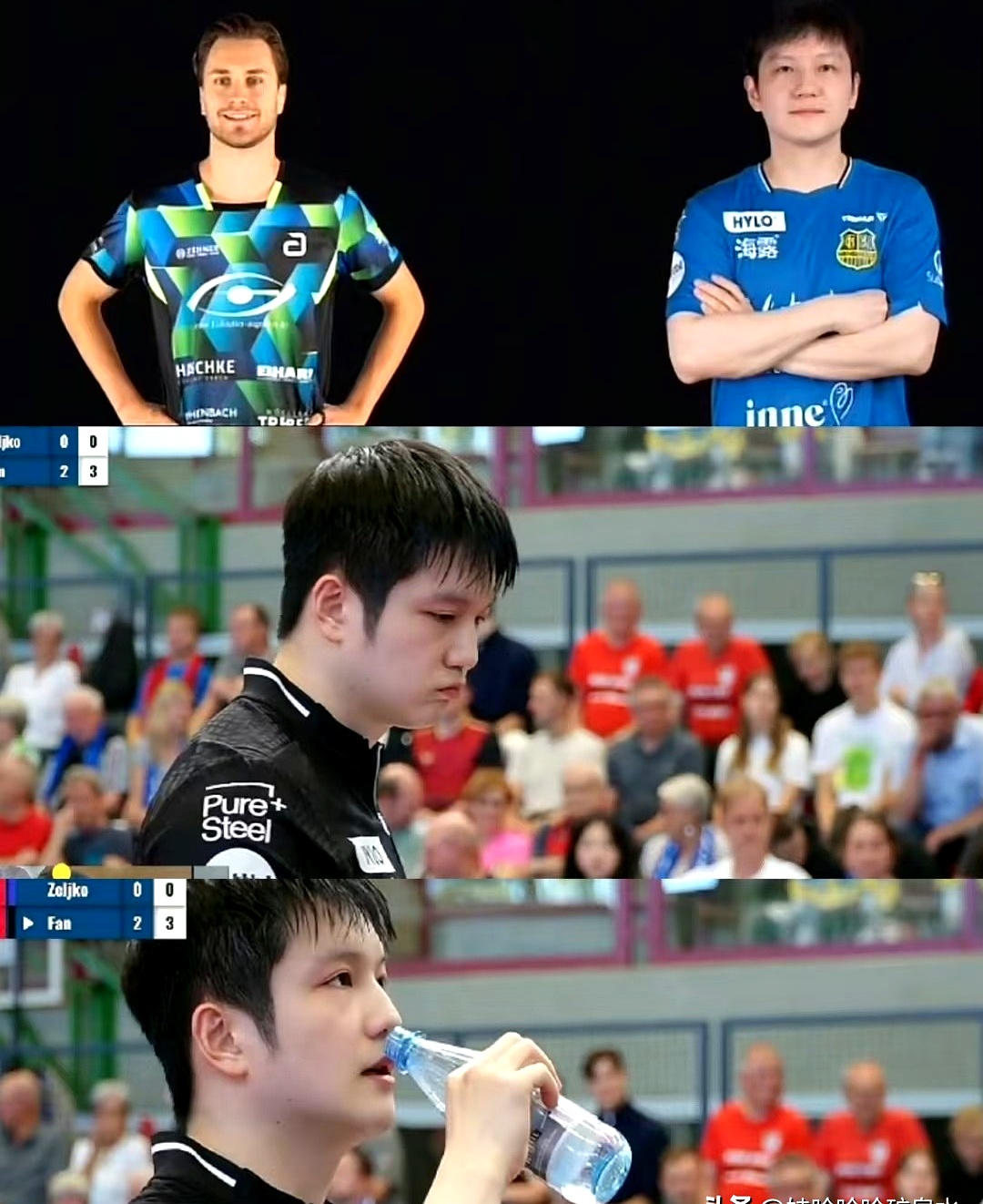 法国队碾压波兰队，樊振东带队取胜